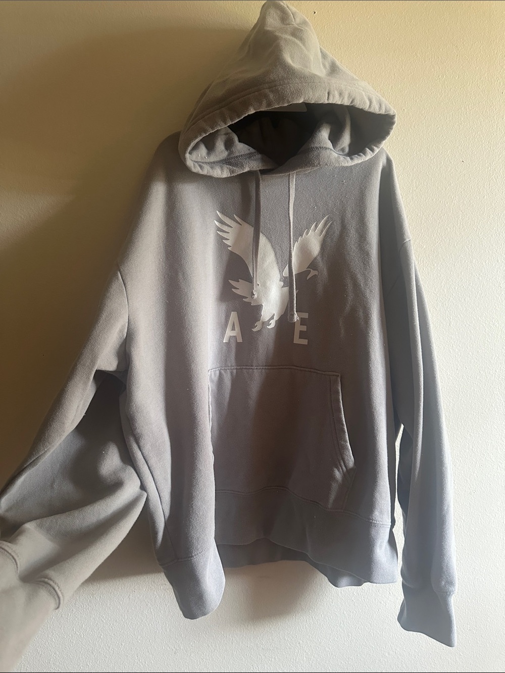 American Eagle Outfitters Gray Hoodie with White Eagle Graphic
